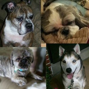 Meet your Posher, George